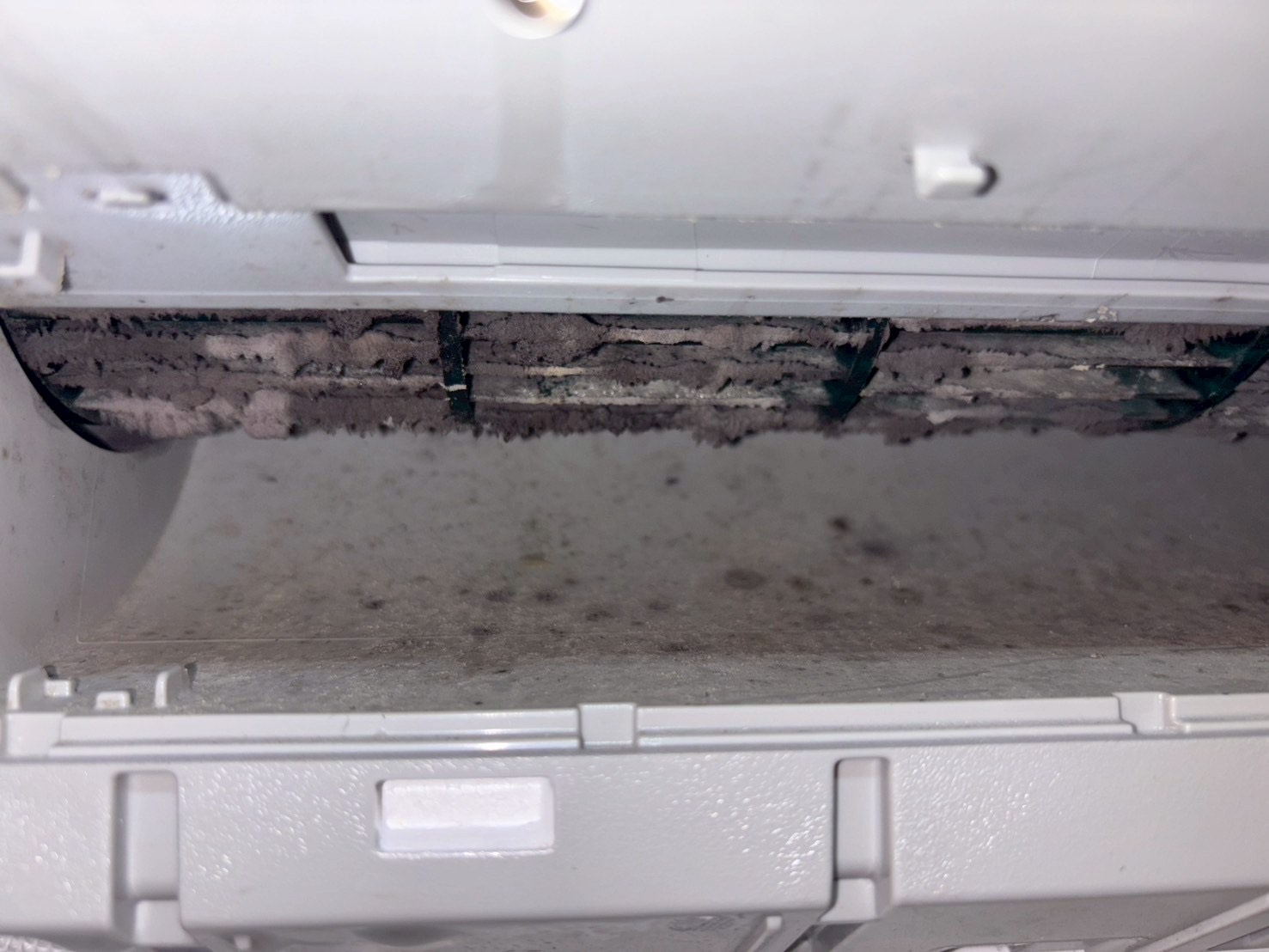 台中西區好牙動物醫院 分離式冷氣清洗