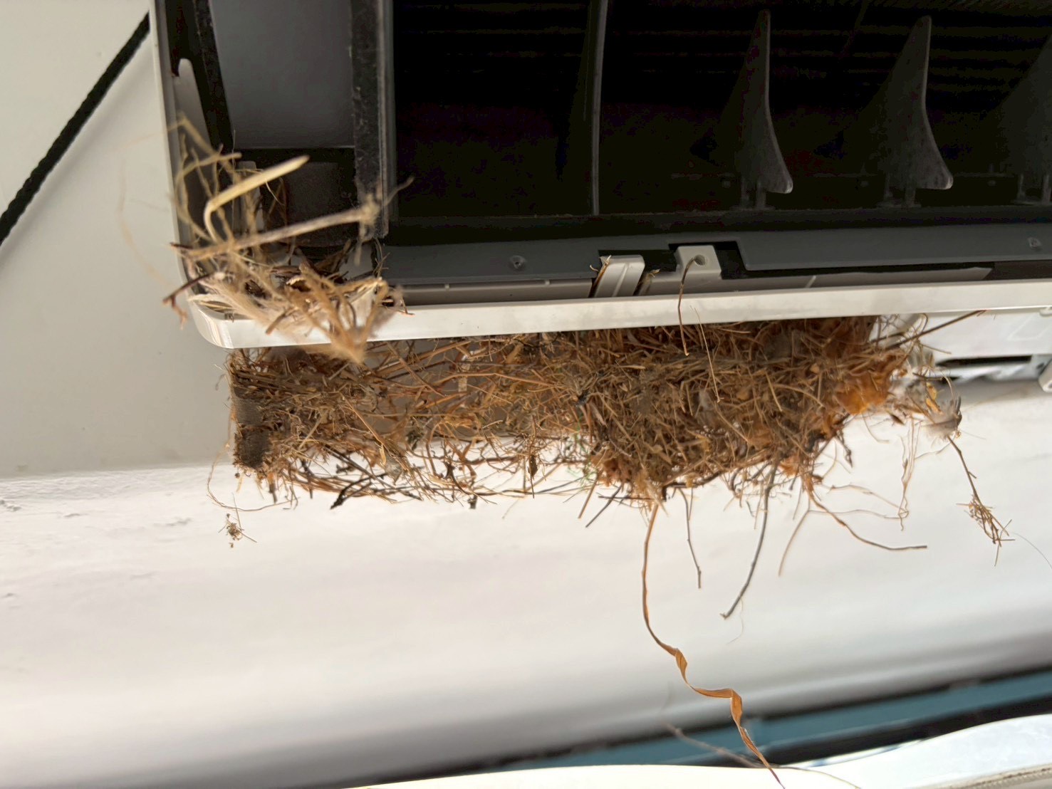 台中霧峰分離式冷氣清洗鳥窩